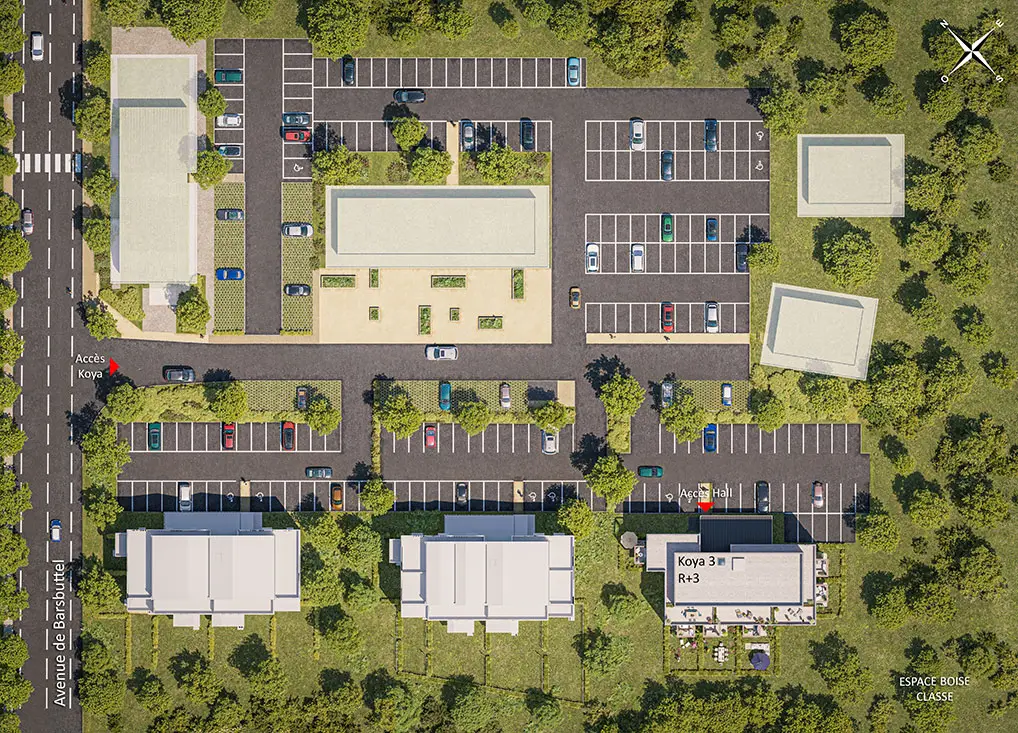 KOYA 3 – Logements libre — visuel 4
