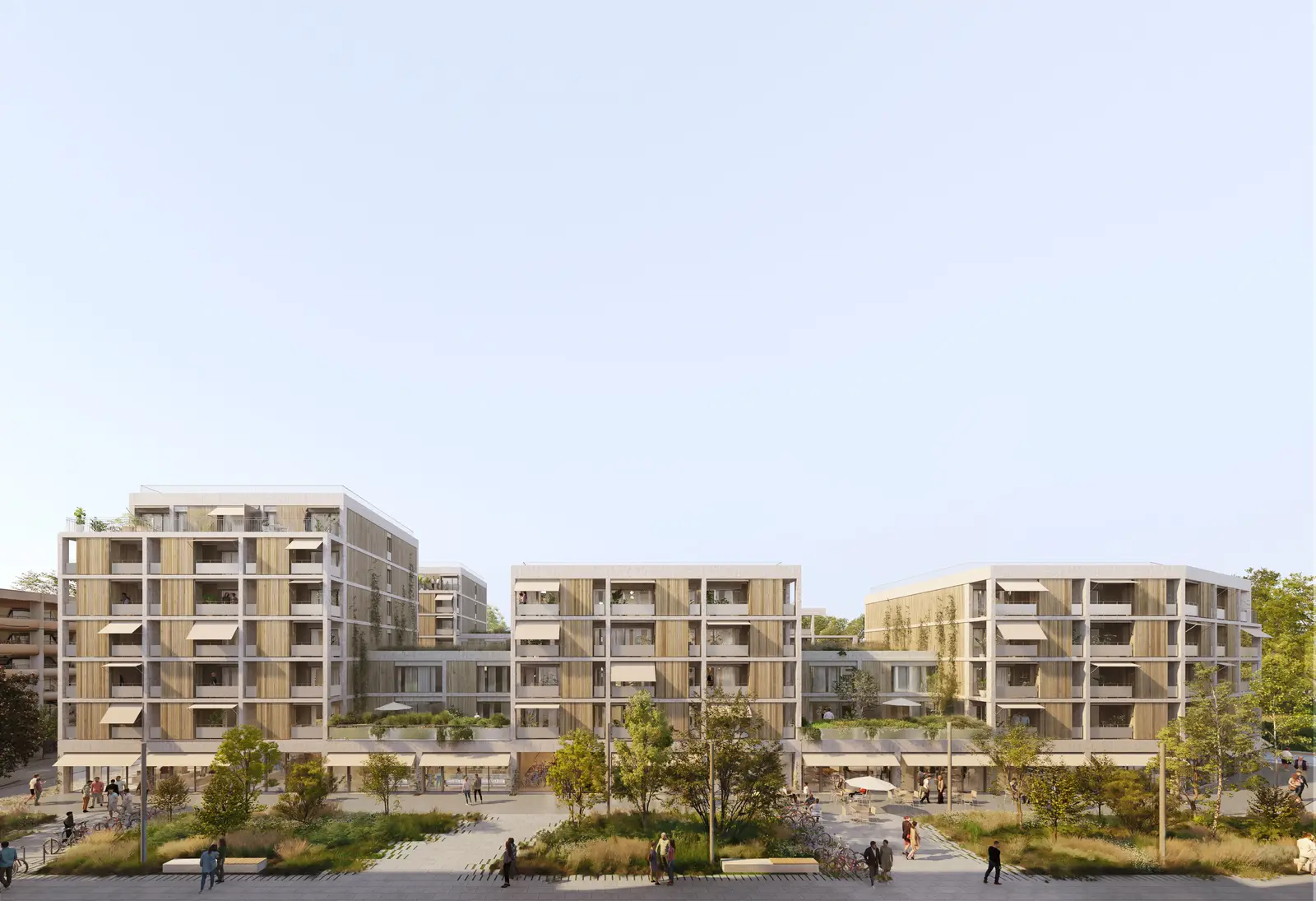 L'ALLEE COUNORD — visuel