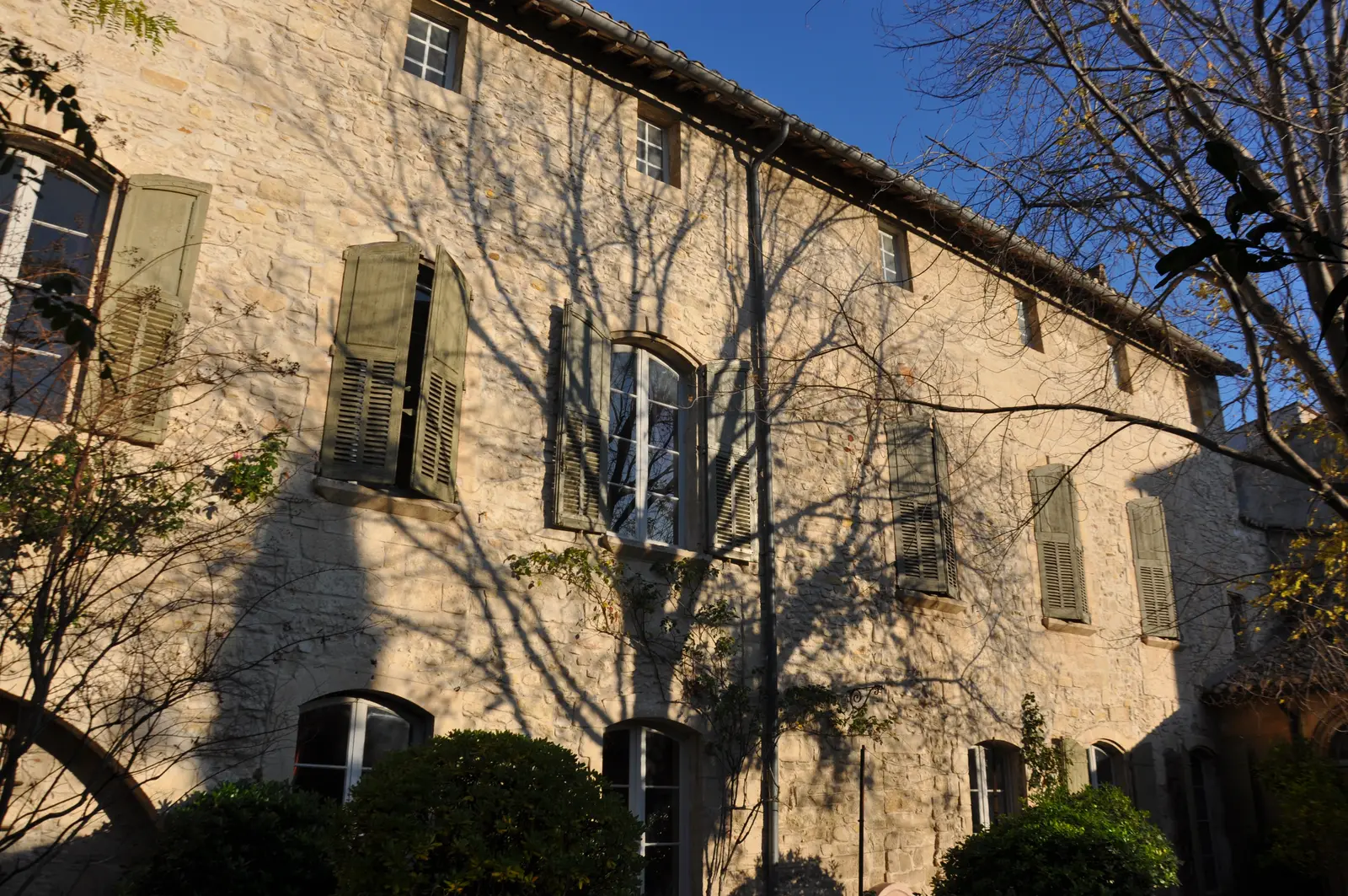 L'Orangerie - VILLENEUVE-LÈS-AVIGNON (30) — visuel 4