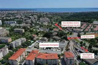 LA ROSERAIE D'ANTIPOLIS 31 — visuel 5