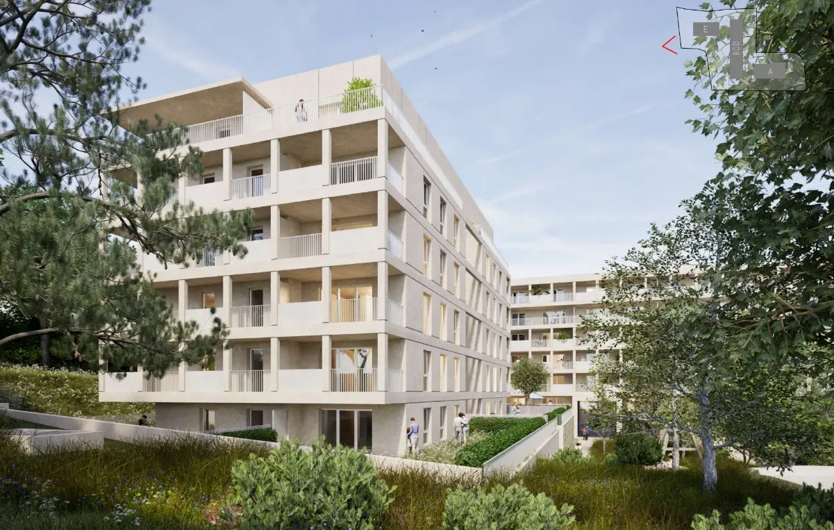 LATITUDE 13 - Augustin Merlhou — visuel 4
