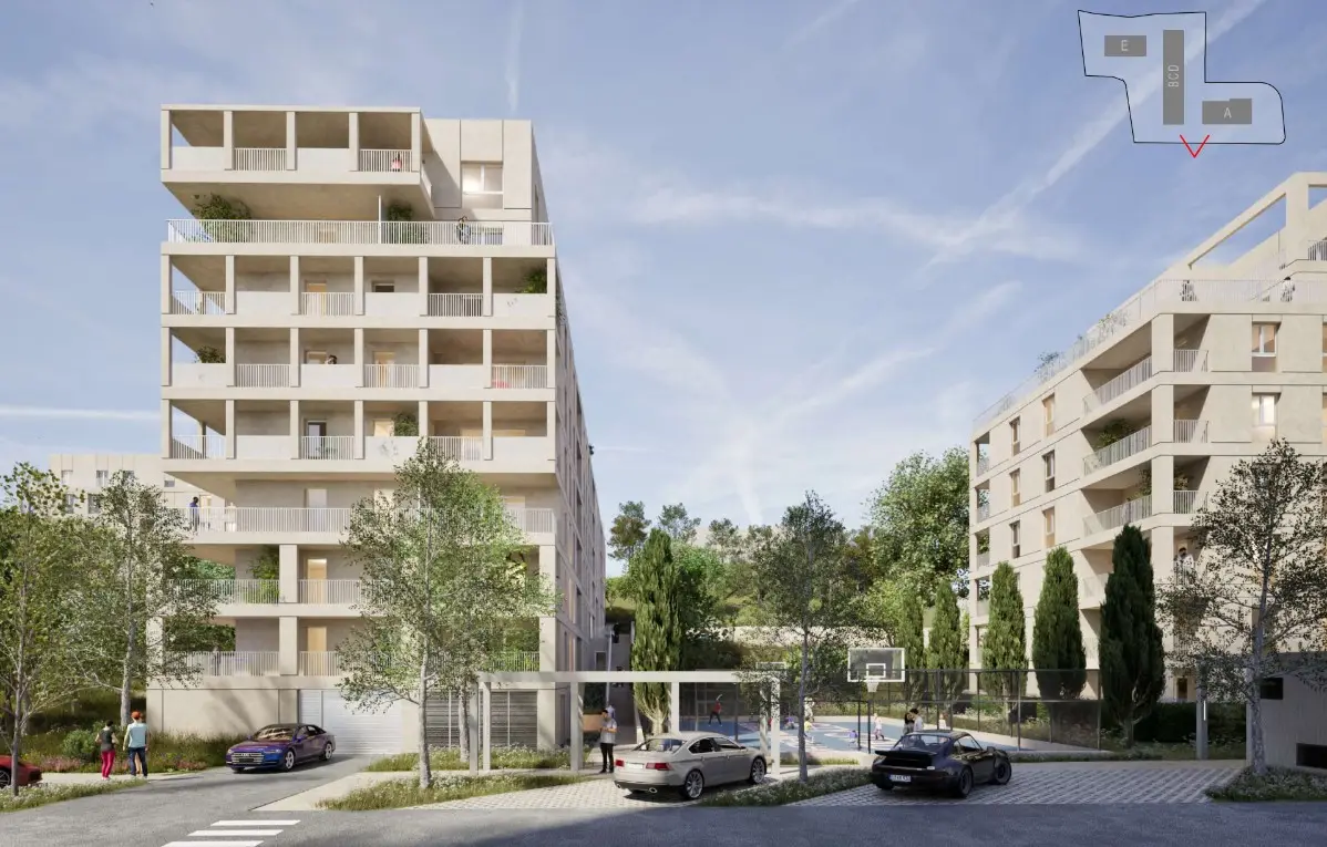 LATITUDE 13 - Augustin Merlhou — visuel 11