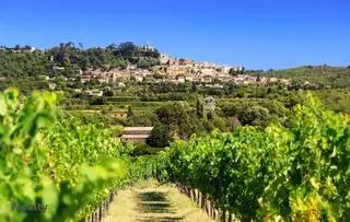 Le Cabellio 10, visuel 3