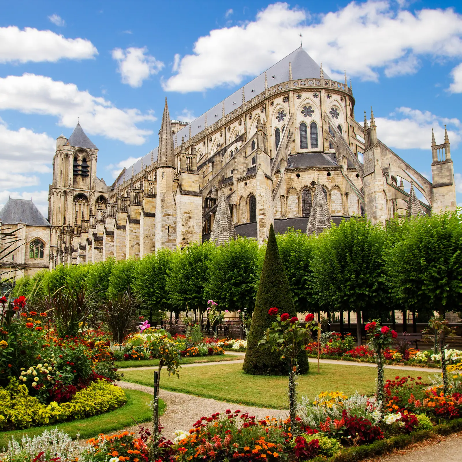 Le Coteau D'Argent SAINT DOULCHARD - BOURGES - 18 — visuel 3