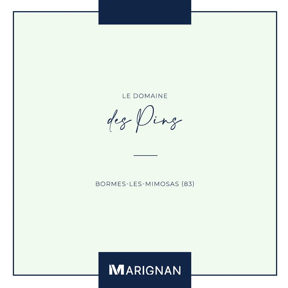 Le Domaine des Pins — visuel 12