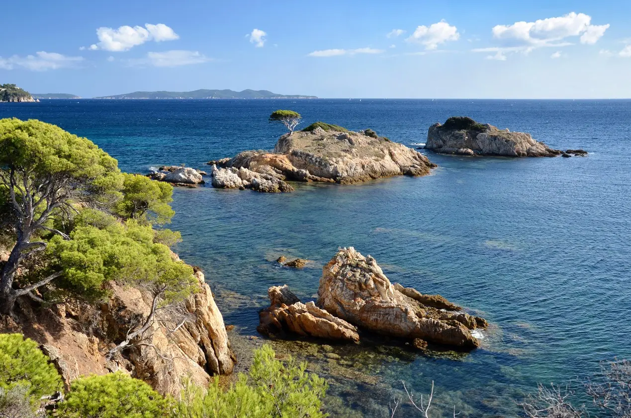 Le Domaine des Pins — visuel 6