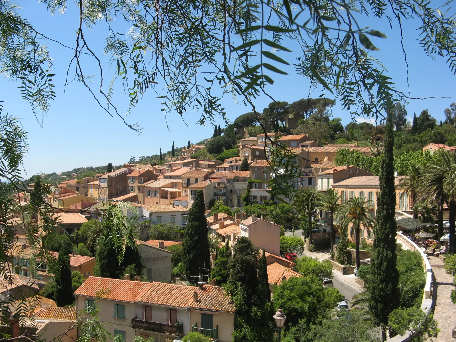 Le Domaine des Pins — visuel 5