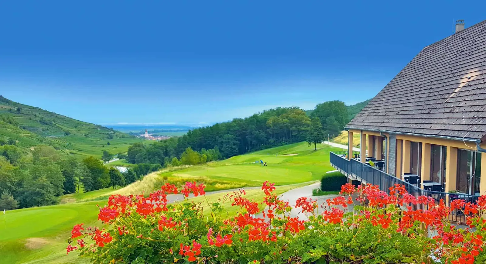 Le Domaine du Golf à Ammerschwihr — vue du programme neuf
