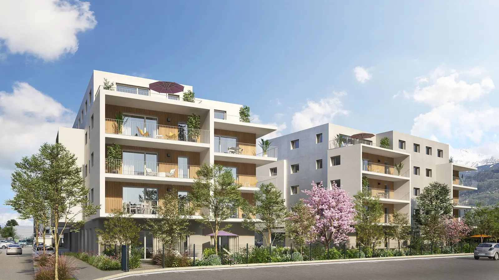 Le Galisea — visuel 5