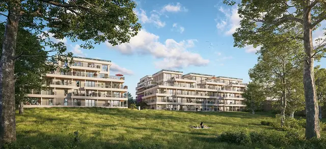 Le Jardin des Carmes, visuel 1