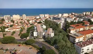 Le Miami 1, visuel 1