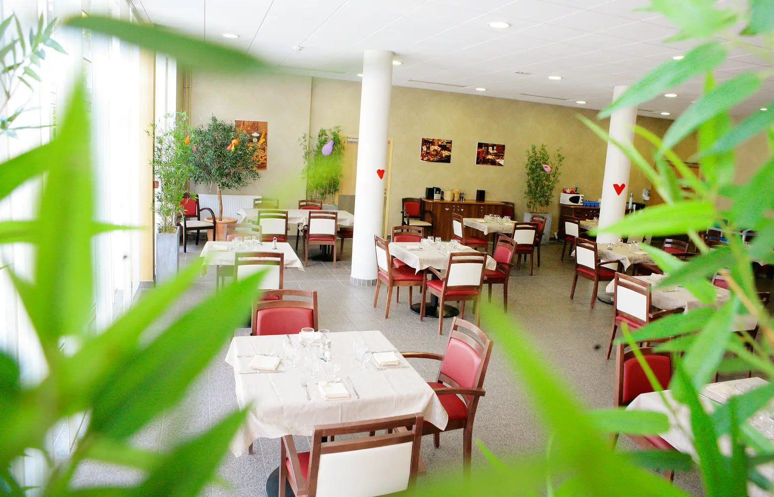 Le Plateau — visuel 5