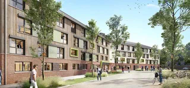 Le Wood, visuel 1