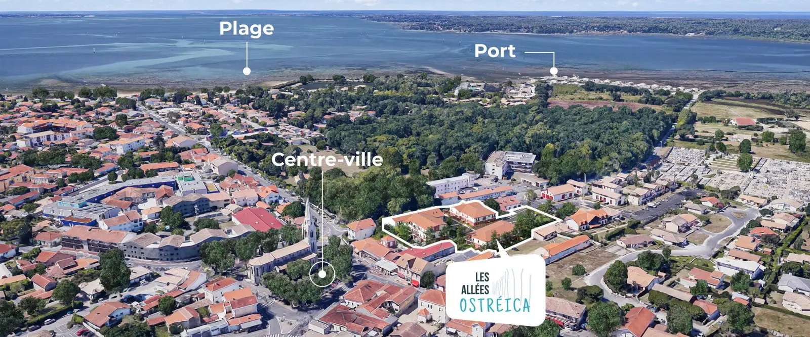 LES ALLEES OSTREICA — visuel 7