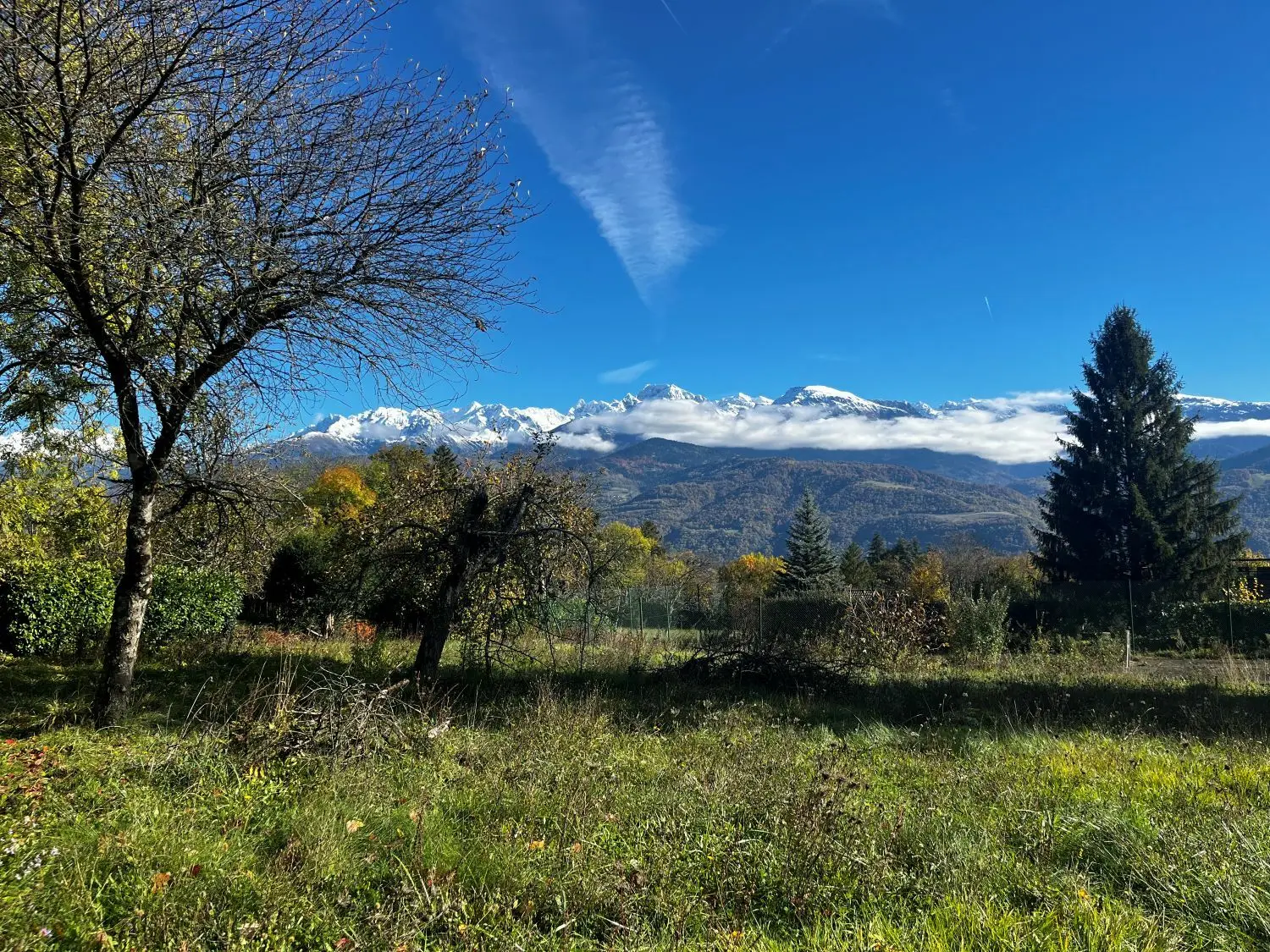 Les Azurés — visuel 7