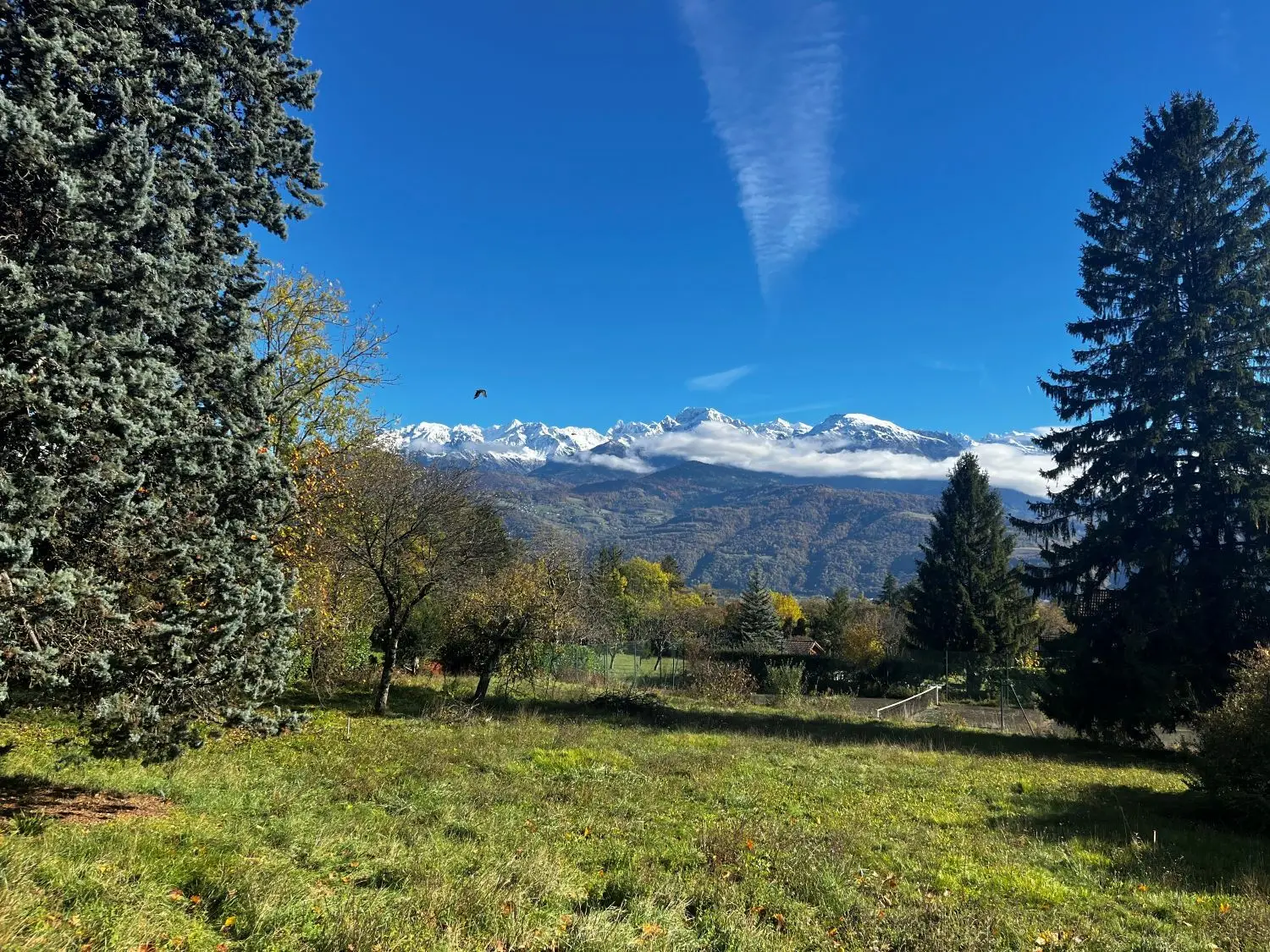 Les Azurés — visuel 4