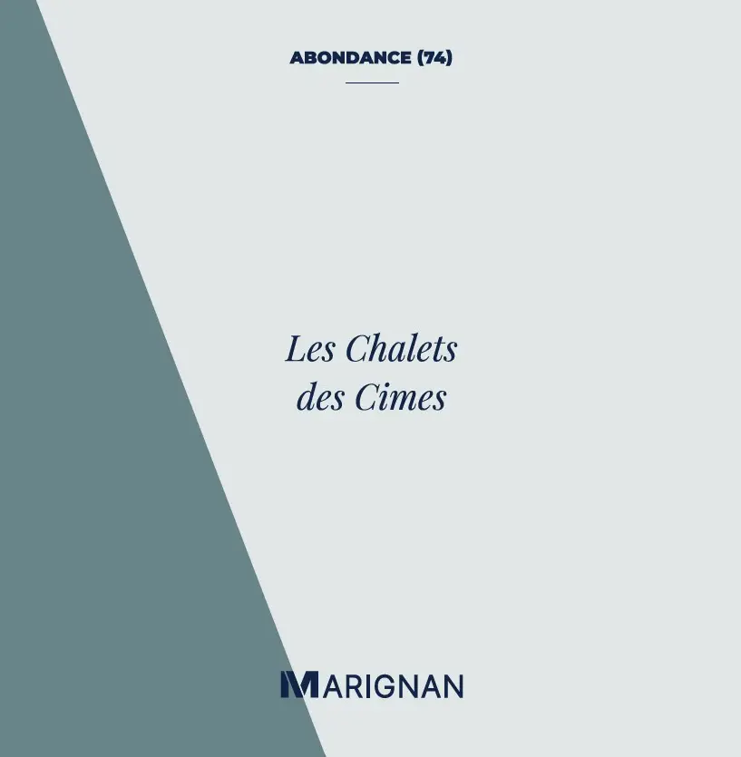 Les Chalets des Cimes — visuel 7