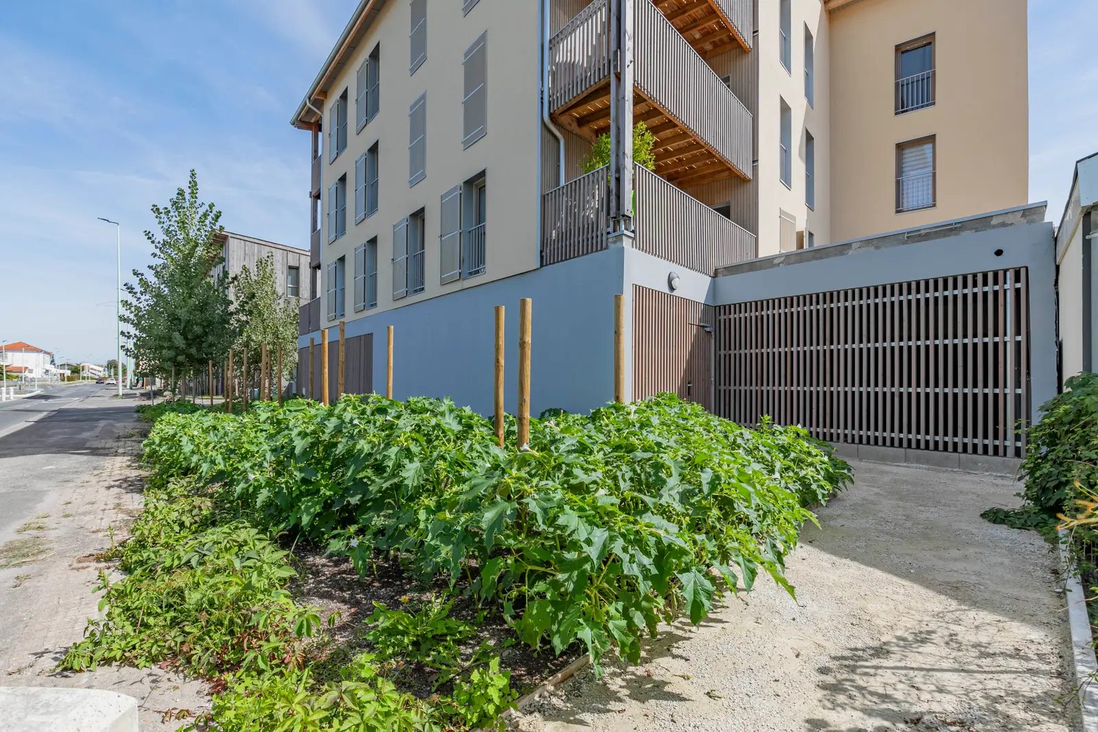 Les Cottages — visuel 5