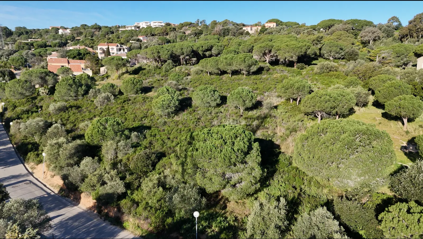Les Hauts de Donateo — visuel 9