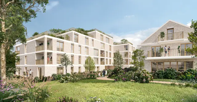 Les Hydrangeas, visuel 1