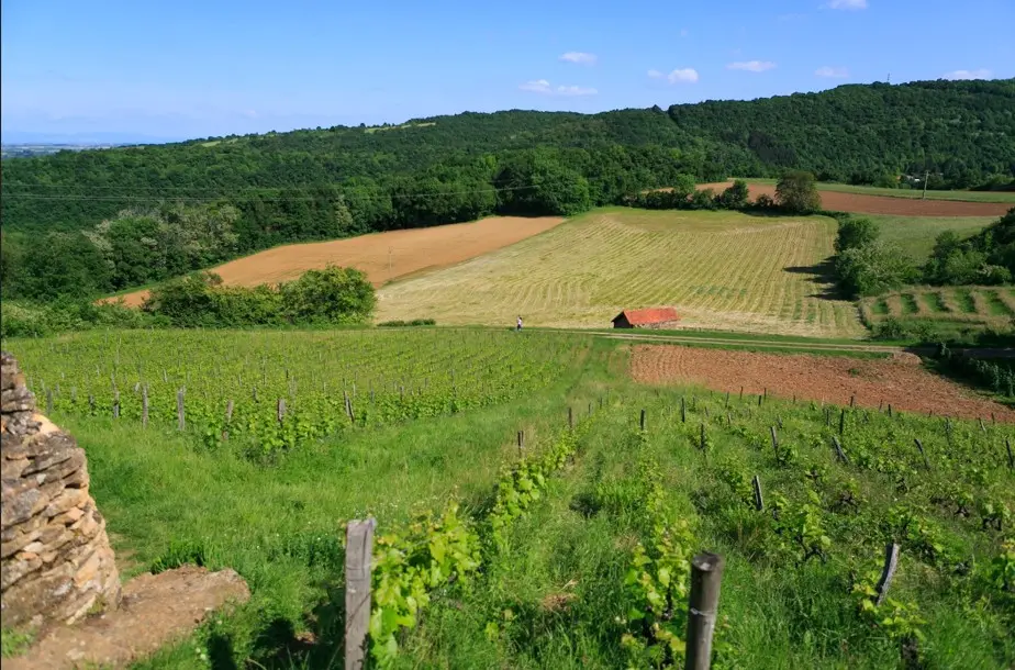 Les Jardins du Moulin — visuel 7