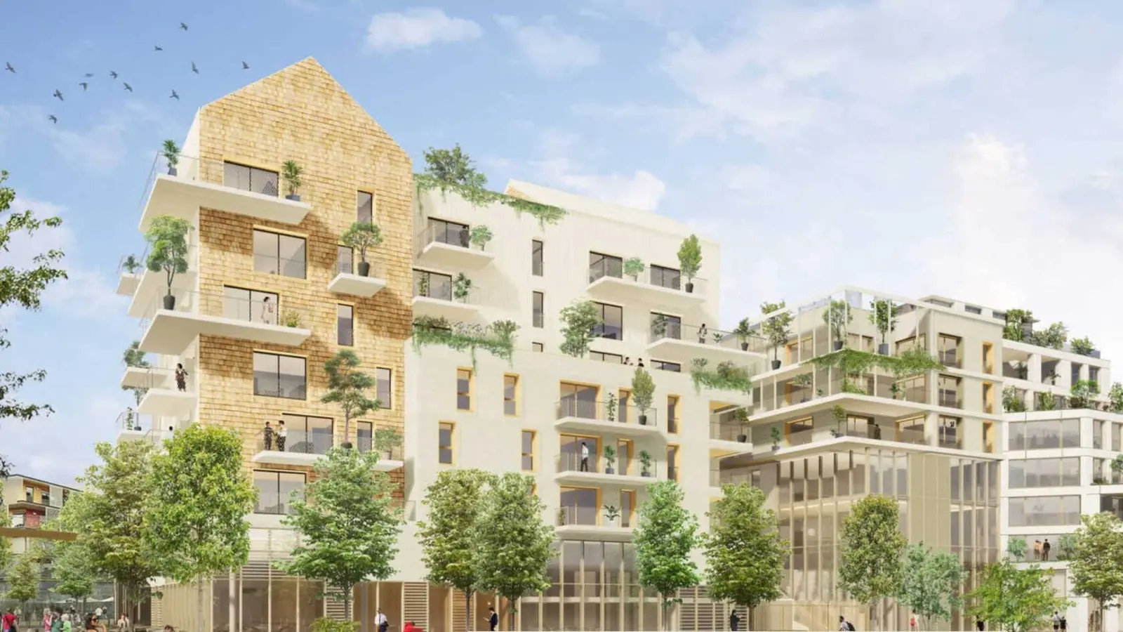 Les Patios de Gaia — visuel