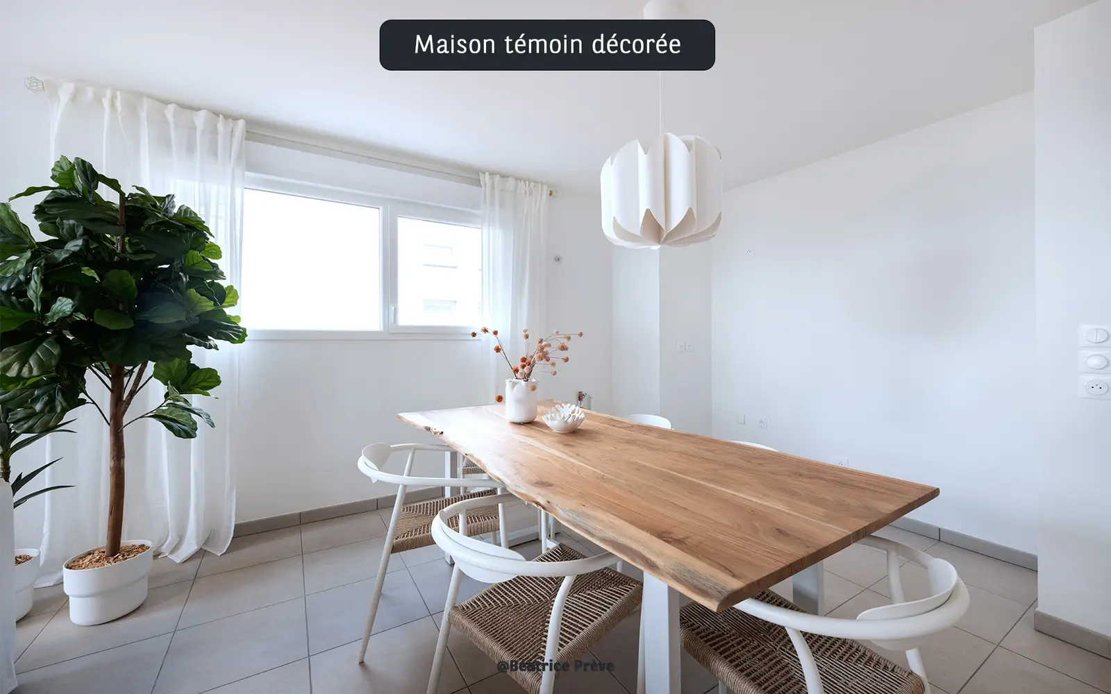Les Pavillons de Flore — visuel 5