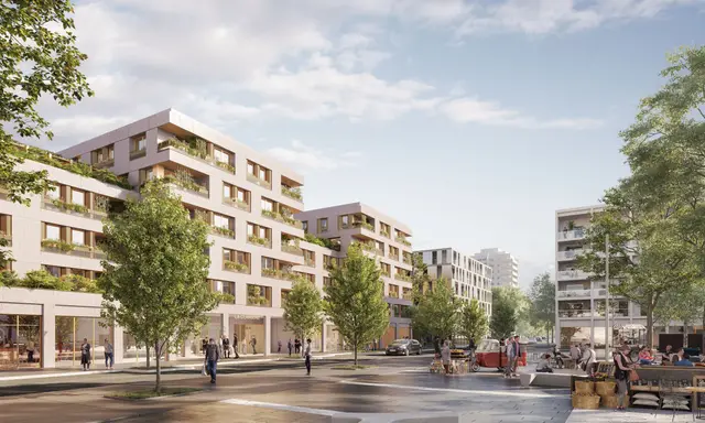 Les Pralines, visuel 2
