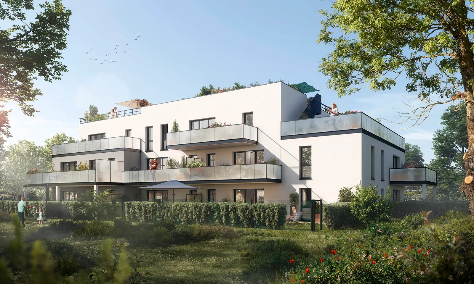 LES ROOFS TOP — visuel
