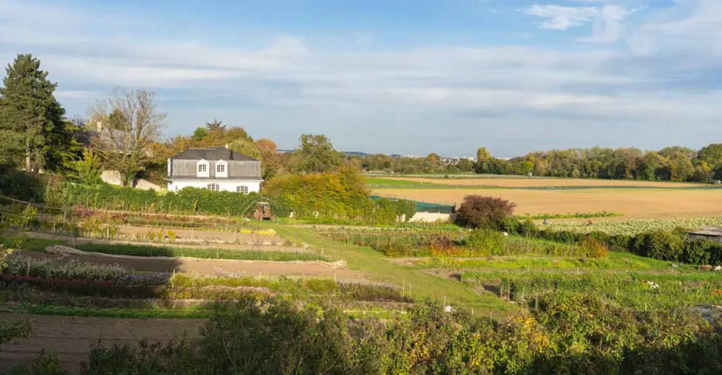 Les Terrasses du Chateau — visuel 5