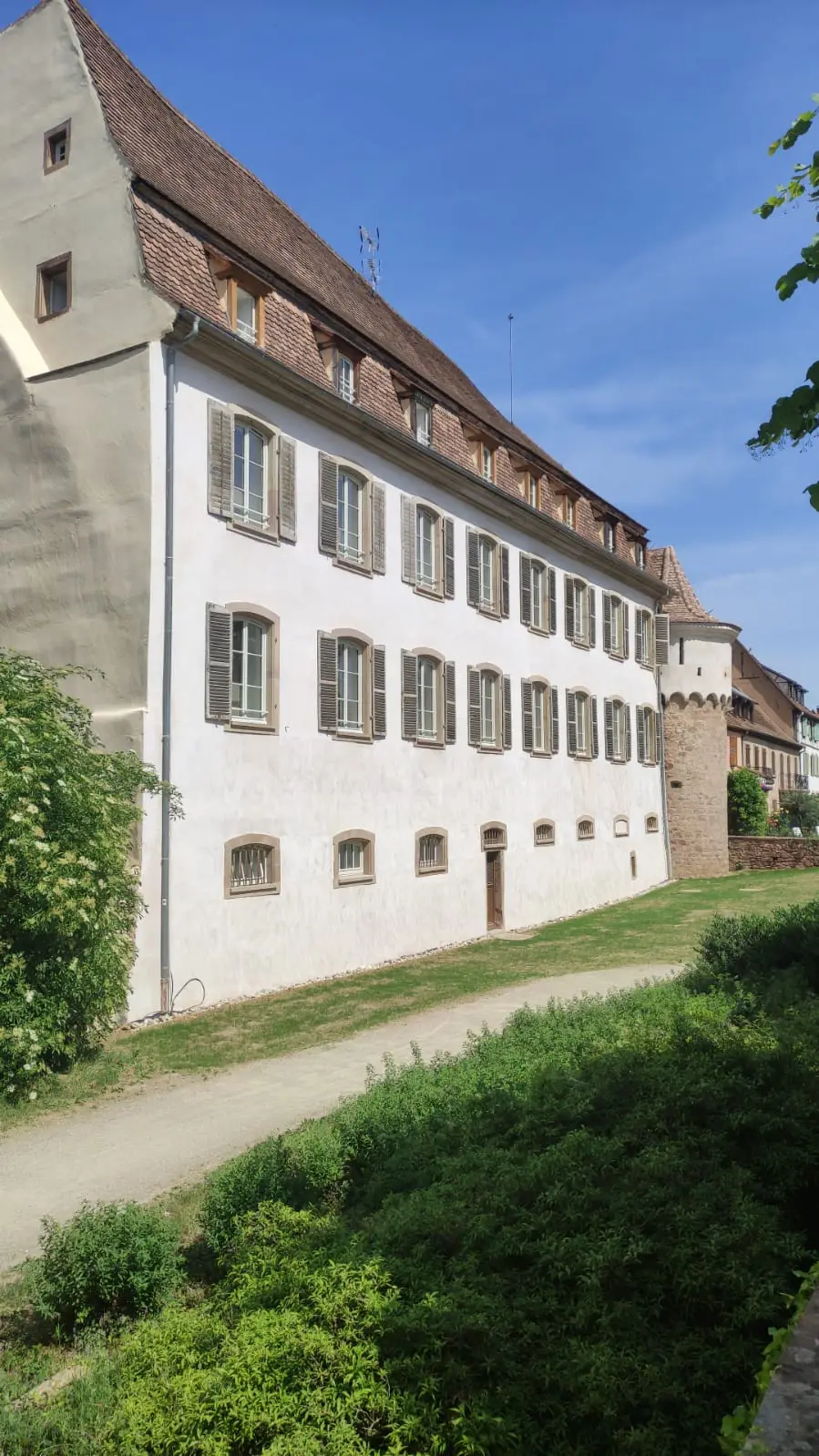 LES VILLAGES D'OR DE OBERNAI — visuel 5