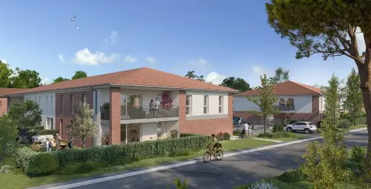 LIVA, visuel 1
