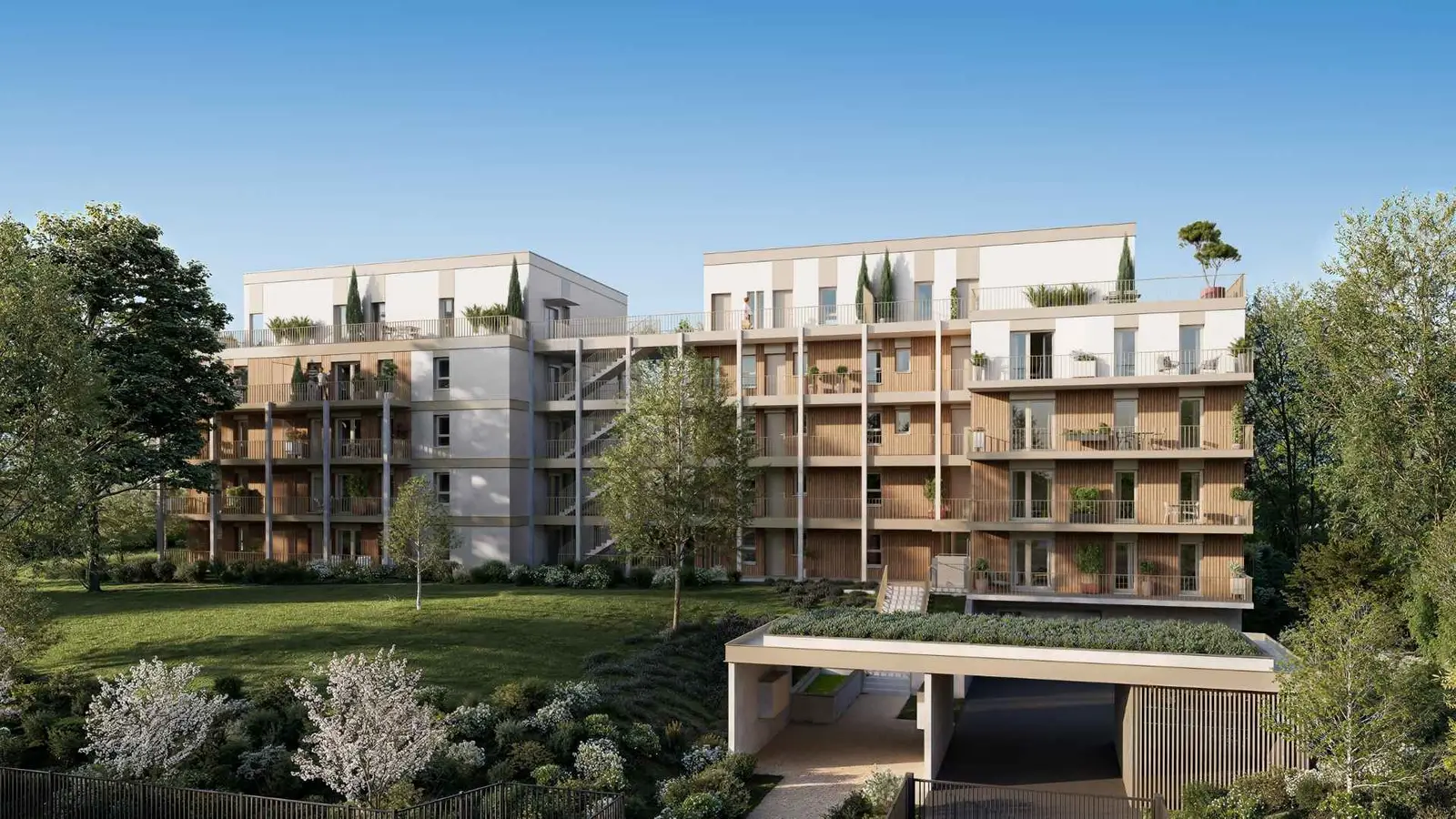 Madera — visuel 2