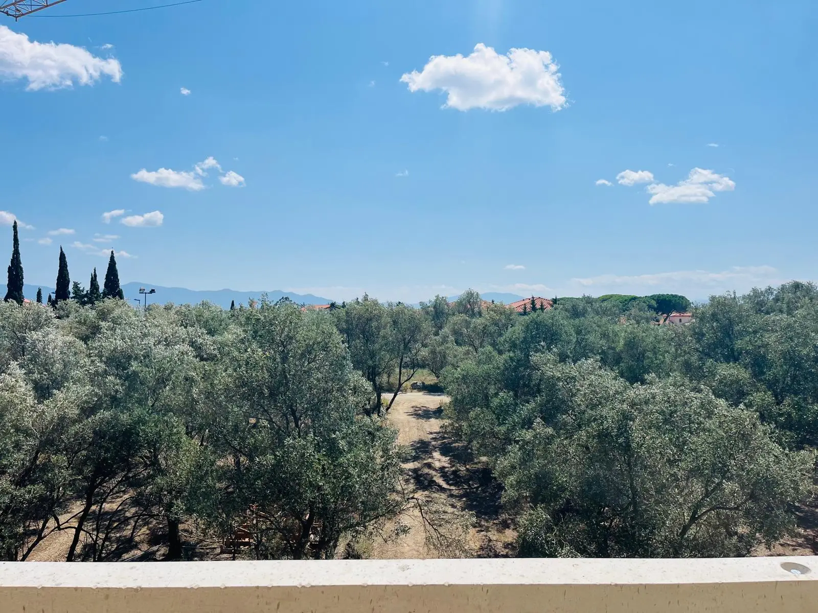 MAS VERMEIL - RESIDENCE L'OLIVERAIE BAT A — visuel 5