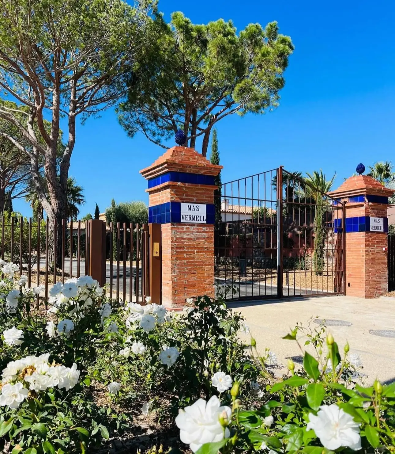 MAS VERMEIL - RESIDENCE L'OLIVERAIE BAT B — visuel 2