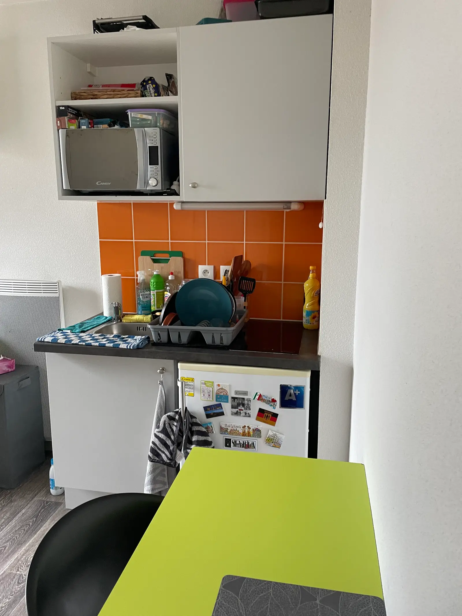 Némea - Villeurbanne - Thésée — visuel 4