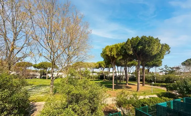 Olivera, visuel 2