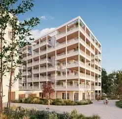 OMANA 6 — visuel 2