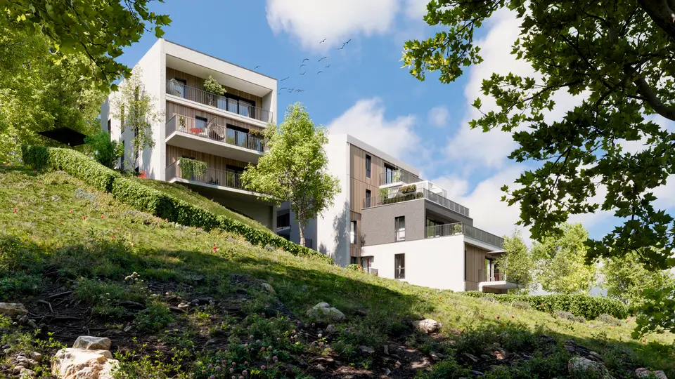 Ôrizon — visuel 2
