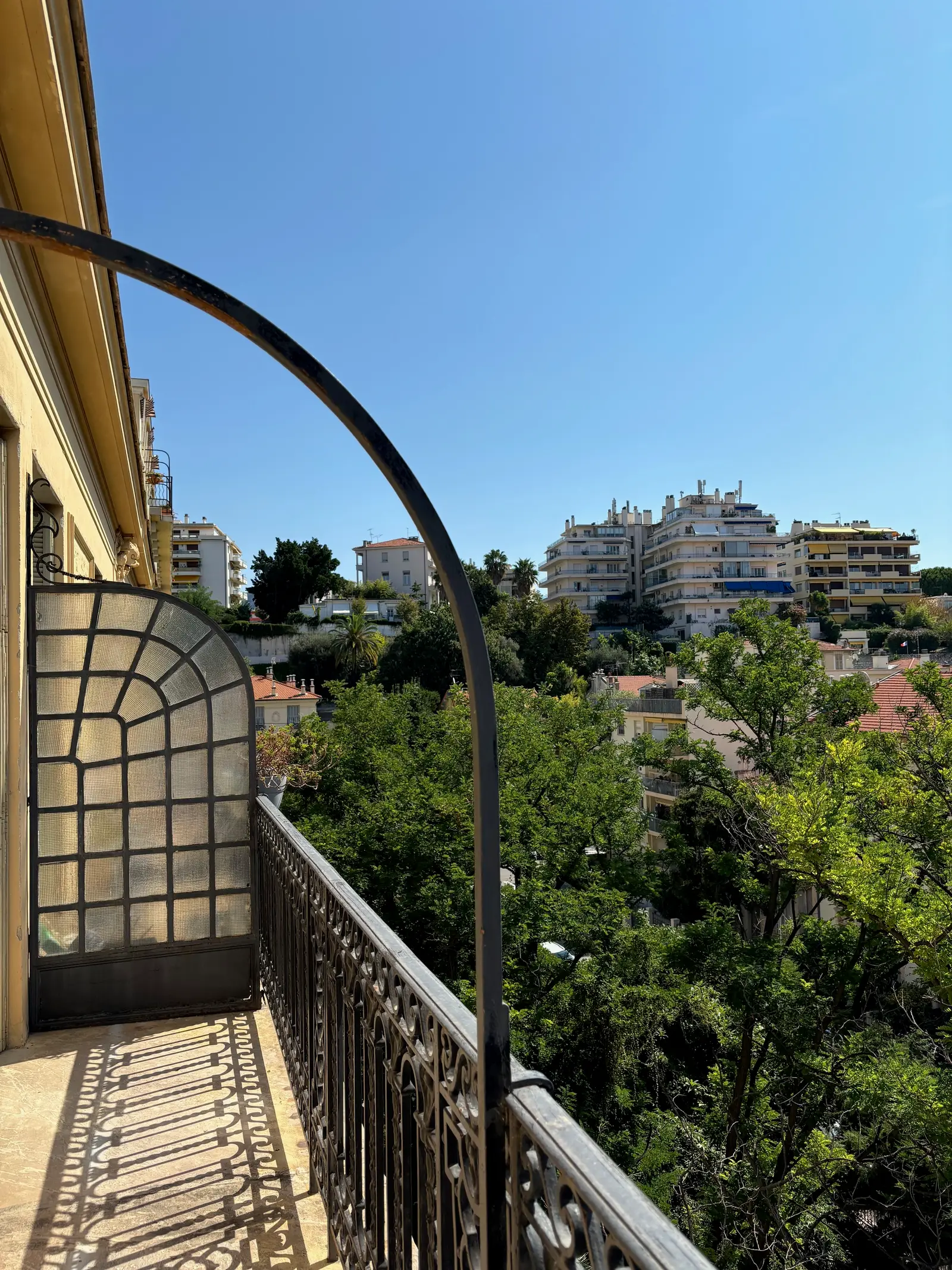 PALAIS THERESA à Nice — vue du programme neuf