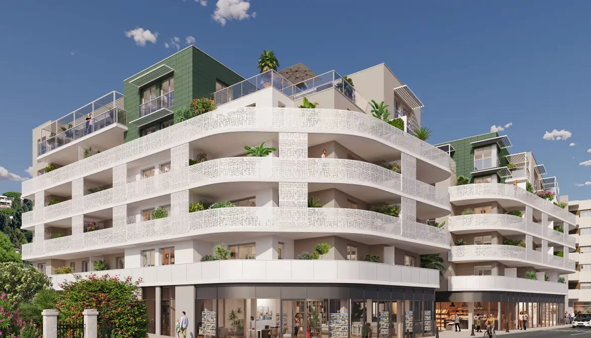 PALM SQUARE — visuel 4