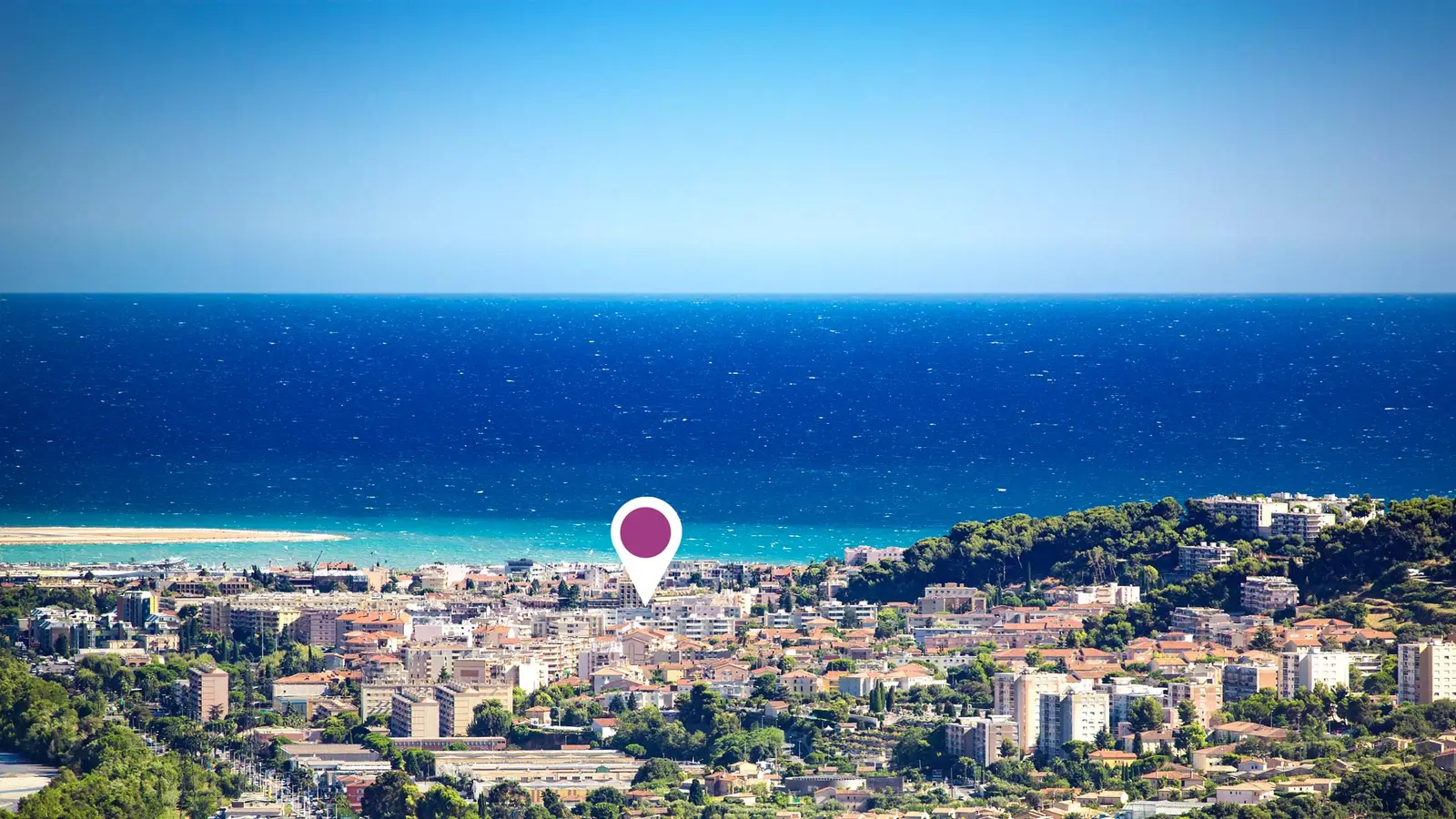 PALM SQUARE — visuel 3