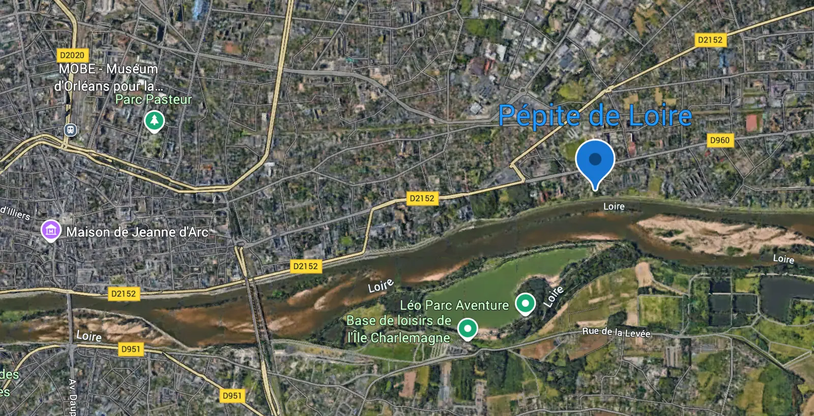 PÉPITE DE LOIRE — visuel 5