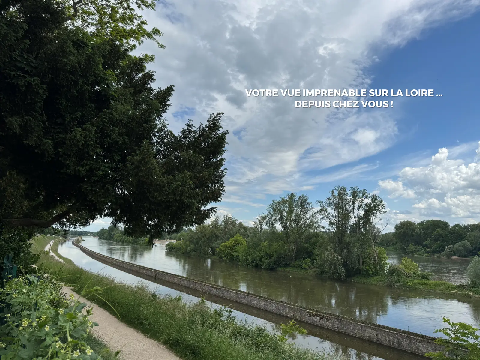 PÉPITE DE LOIRE — visuel 6
