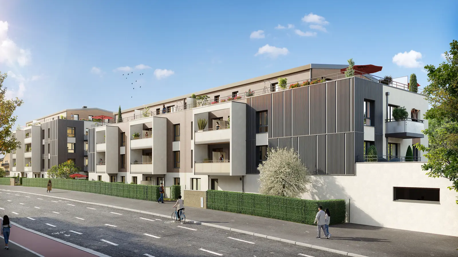 RESIDENCE CEZANNE — visuel