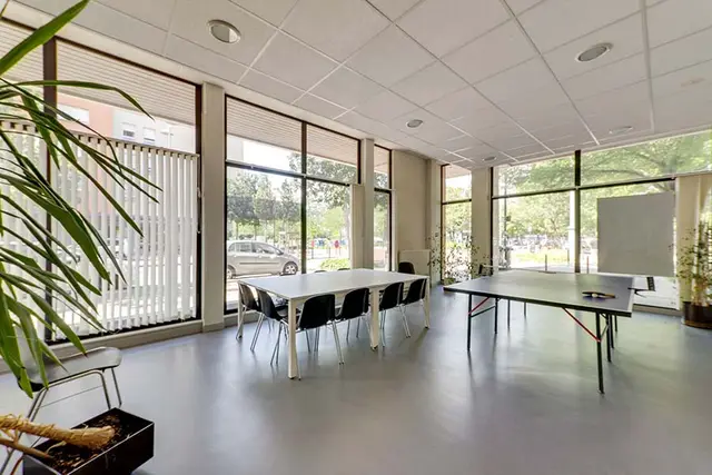 ROUSSEAU, visuel 3