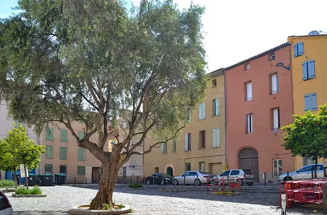 Saint-François, visuel 1