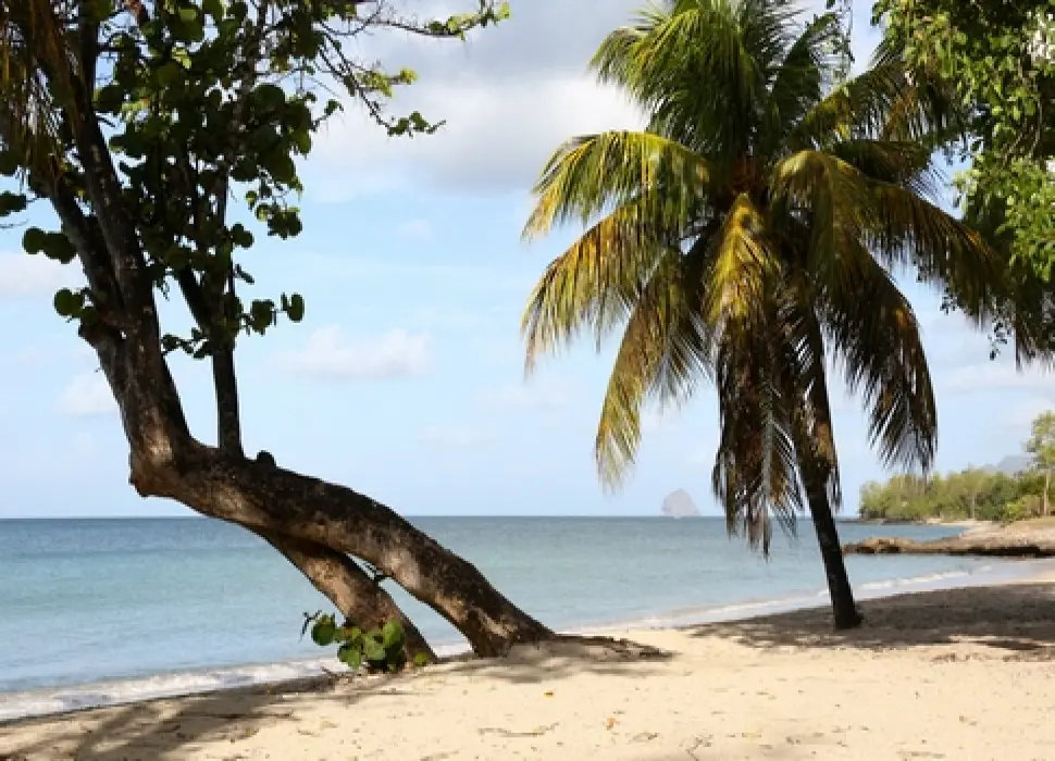 Sainte Luce — visuel 2