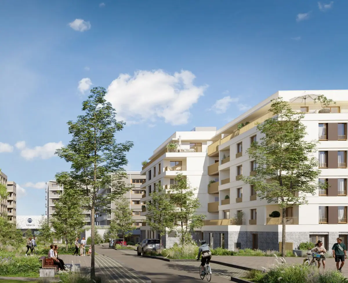 San Mateo — visuel 4