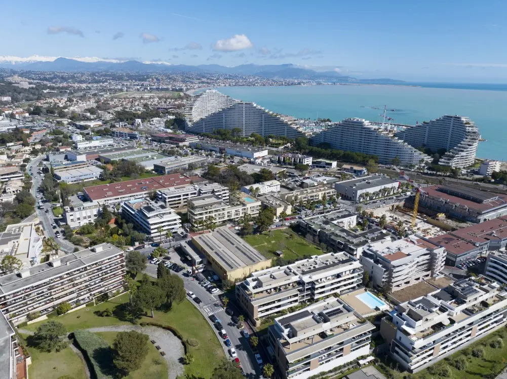 Sole Mare — visuel 3